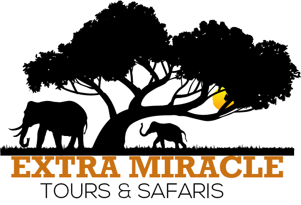 Extra Miracle Tours & Safaris